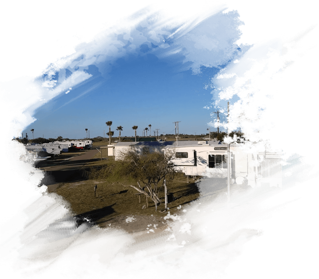 A picture of an rv park with palm trees in the background.