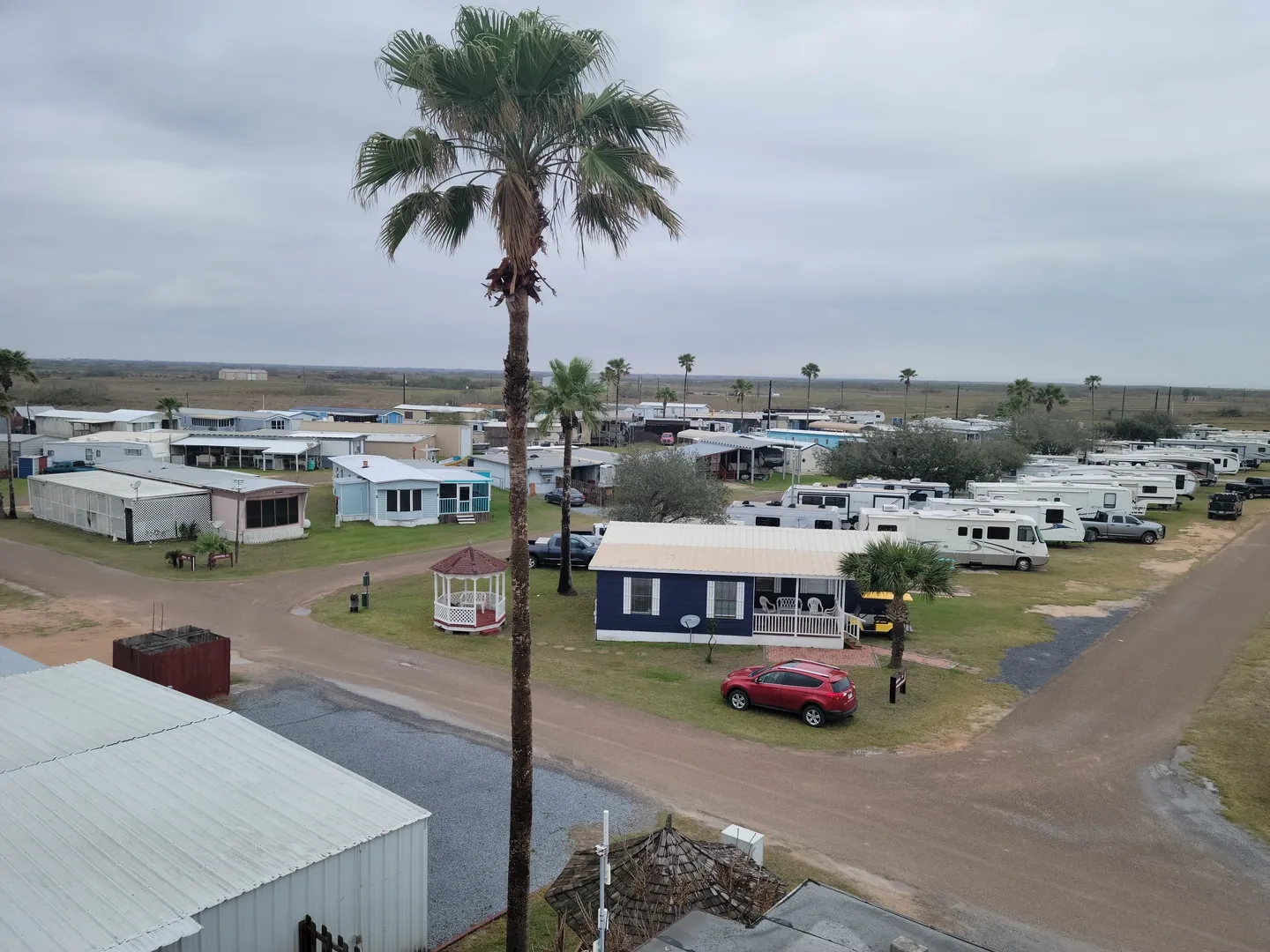 A view of some rv parks and a palm tree.